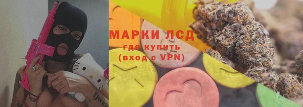 стафф Аркадак