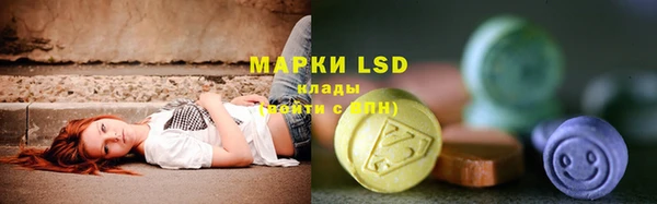 стафф Аркадак