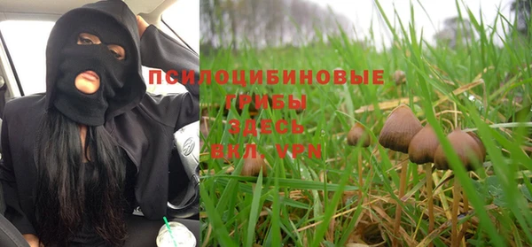 дживик Арсеньев