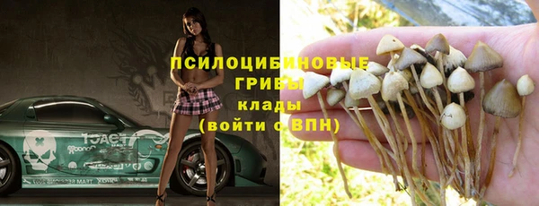 дживик Арсеньев