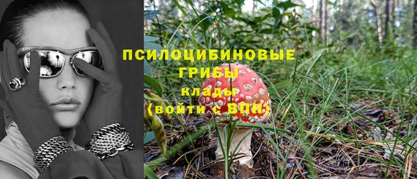 дживик Арсеньев